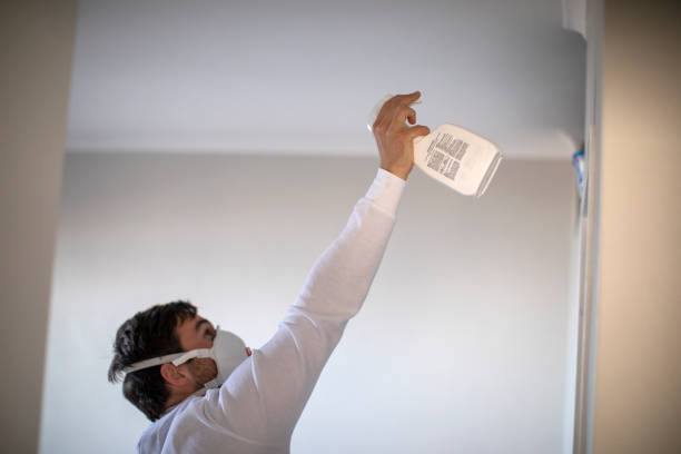  Clinton, TN Mold Removal Pros